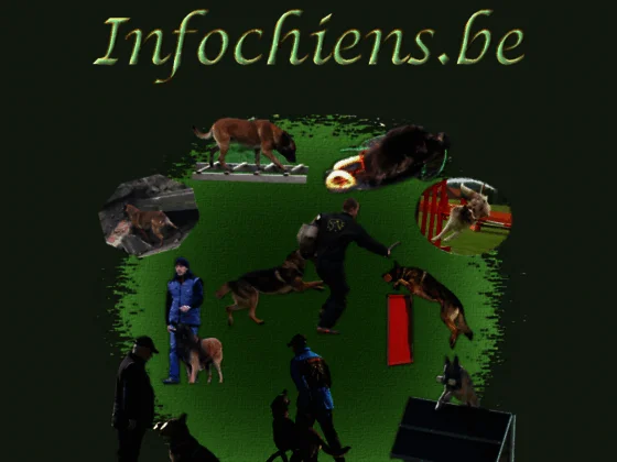 Portail d’information sur le chien et le monde canin