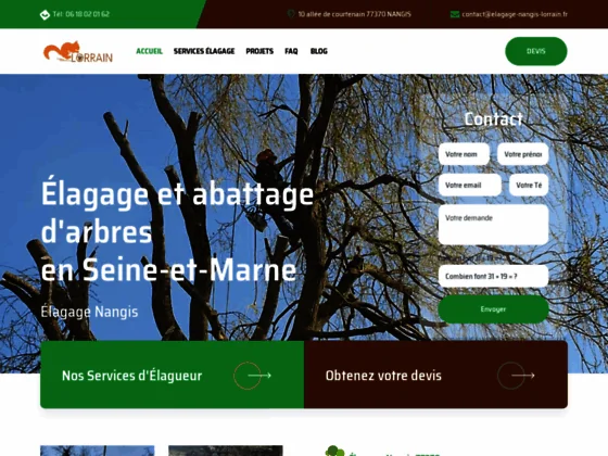 Élagage et abattage d'arbres en Seine-et-Marne