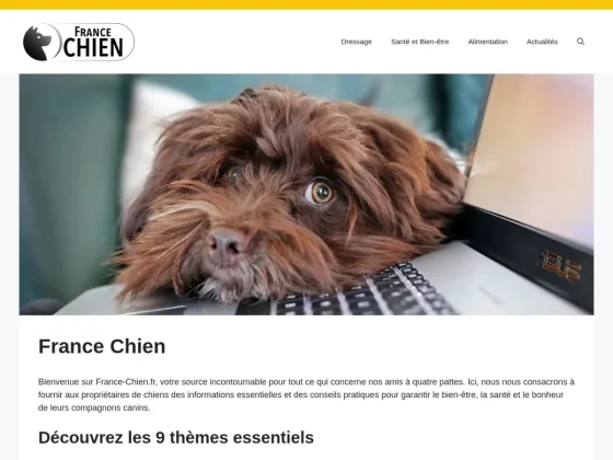 France Chien, l’essentiel pour le bien-être canin