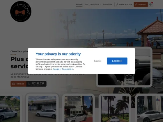 luxury concept drive