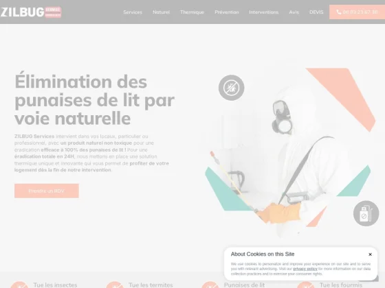 Zilbug Services Traitement de Punaises de lit à Strasbourg