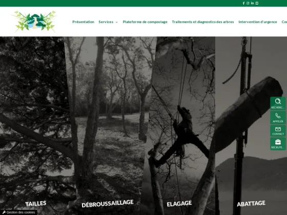 Élagage à La Garde - Sud Élagages