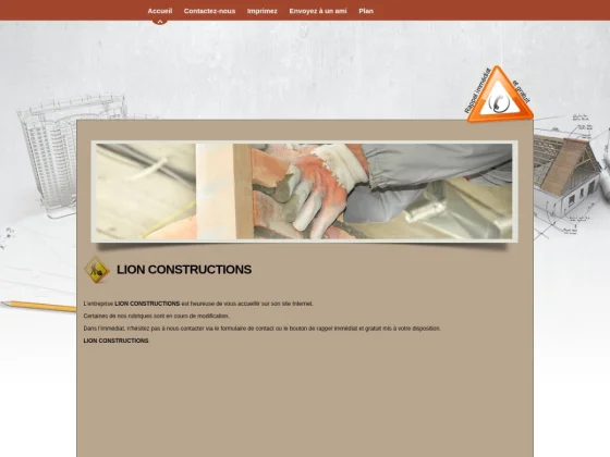 Lion Constructions