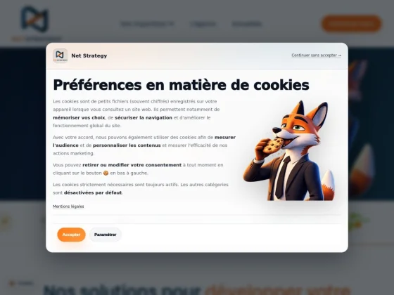 Net Strategy - Agence SEO & Marketing Digital